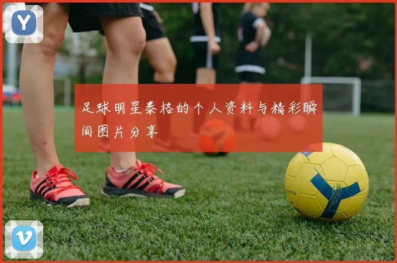 足球明星泰格的个人资料与精彩瞬间图片分享