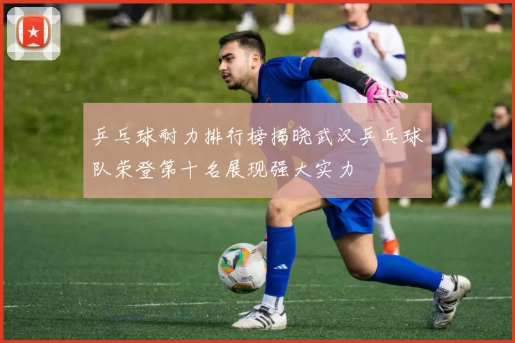 乒乓球耐力排行榜揭晓武汉乒乓球队荣登第十名展现强大实力