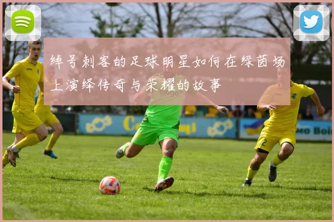 绰号刺客的足球明星如何在绿茵场上演绎传奇与荣耀的故事