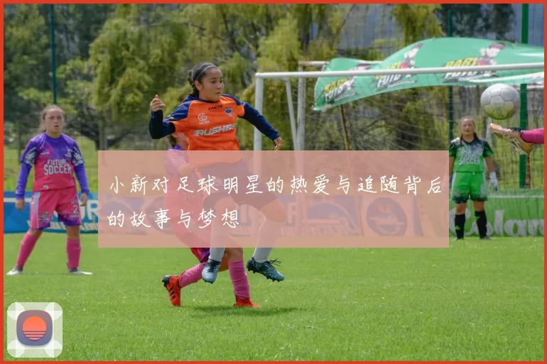 小新对足球明星的热爱与追随背后的故事与梦想